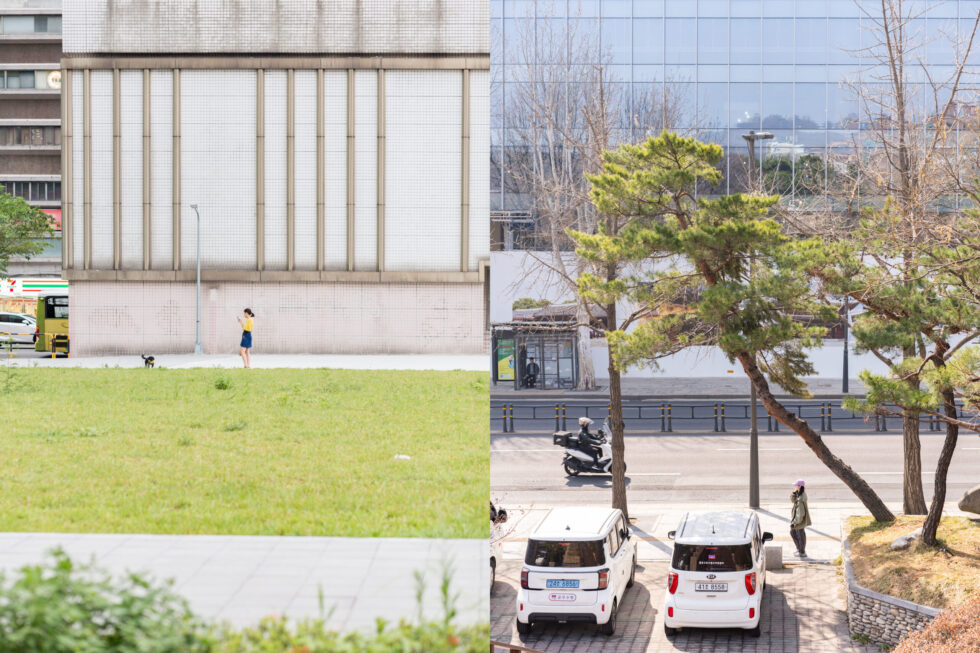 the city is a garden #27